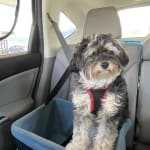 User submitted media 4 of 6