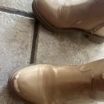 User submitted media
