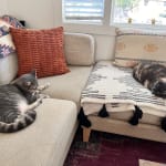 Noelle Oatmeal Woven Sofa and Ottoman