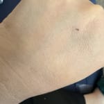 User submitted media 4 of 4