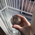 User submitted media 2 of 3