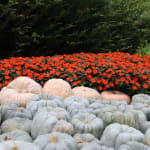 User submitted media 1 of 3