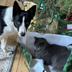 User submitted media 1 of 2