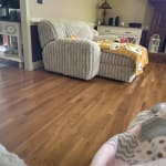 User submitted media