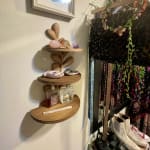 Natural Pine Botanical 3 Tier Wall Shelf