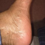 User submitted media