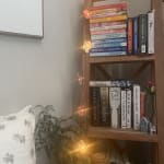 Cotton Flower LED 10 Bulb Battery Operated String Lights - World Market