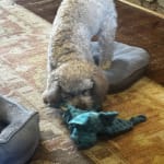 User submitted media 2 of 2