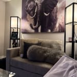 User submitted media