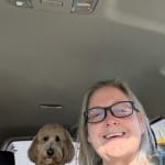 User submitted media