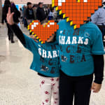 User submitted media