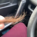 User submitted media 5 of 5