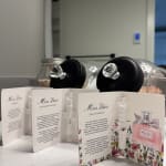 User submitted media