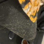 User submitted media