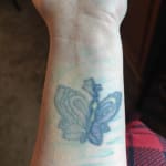 User submitted media