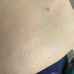 User submitted media 2 of 4