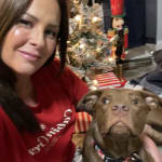 User submitted media