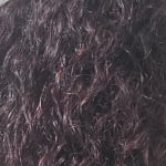 User submitted media 2 of 2