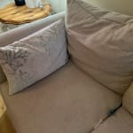 User submitted media 3 of 3