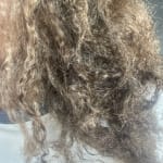 User submitted media 1 of 3