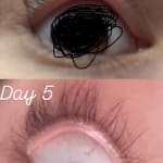 User submitted media