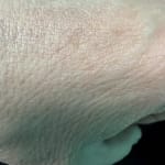 User submitted media 4 of 4