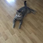 User submitted media