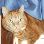 User submitted media 2 of 5