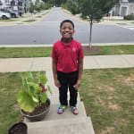 User submitted media