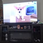 User submitted media