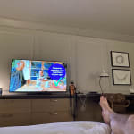 User submitted media