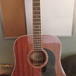Washburn wd100dl outlet