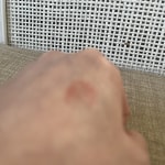 User submitted media 1 of 2