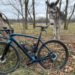 Checkpoint sl 2025 frameset