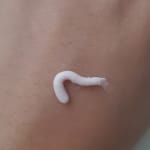 User submitted media 2 of 2