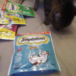 User submitted media