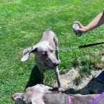 User submitted media 1 of 4