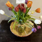 Timeless Tulips®