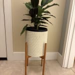 White Leaf Planter With Pinewood Stand