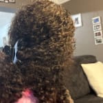 User submitted media