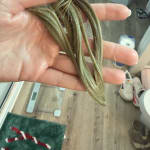 User submitted media 1 of 3