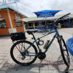 Giant Cypress DX M Disc - Giant-Pegoretti