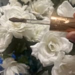 User submitted media 1 of 3