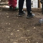 crocs women's jaunt shorty boot