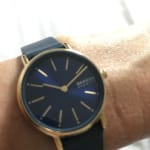 Skagen skw2867 best sale
