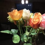One Dozen Assorted Roses