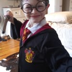 Download Harry Potter Tie Party City