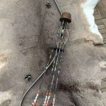 Bear Archery Kodiak Mag Recurve Bow - Shedua & Gray, 52" AMO, Right Hand, Includes Dynaflight 97 String