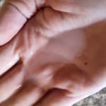 User submitted media 2 of 2