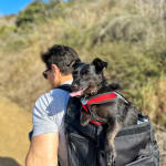 Timbuk2 online muttmover large